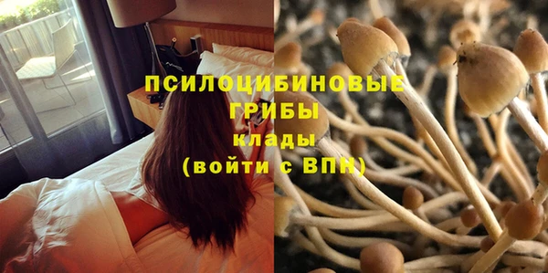 бутират Бородино